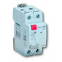 Interrupteur Différentiel 2x63A/300mA Type AC